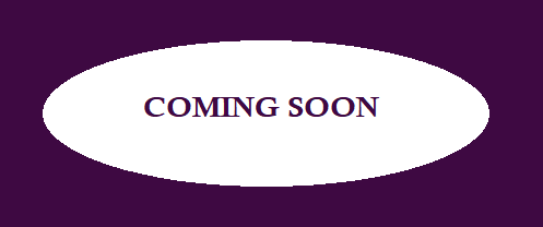 Ajmera Ghatkopar Project 3BHK Plan